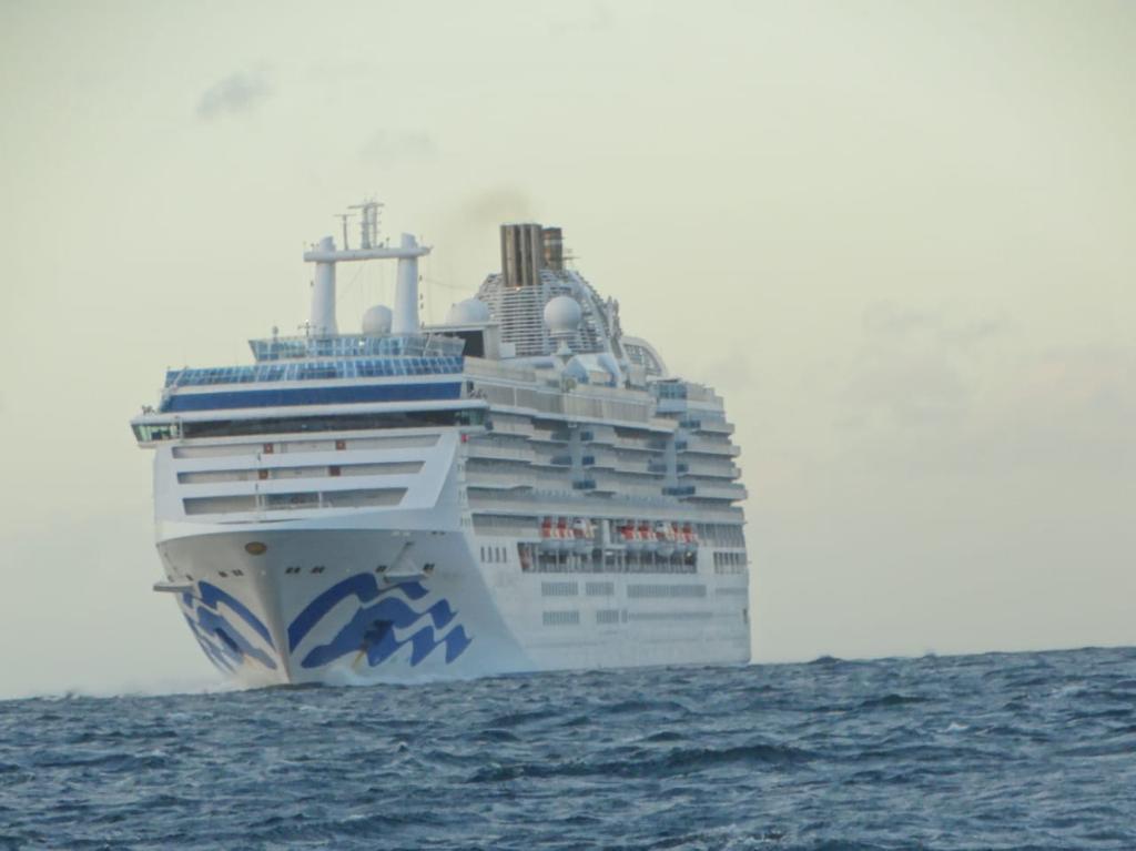 CRUCERO1